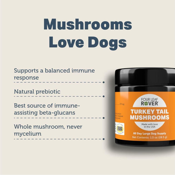 Four Leaf Rover Turkey Tail Mushrooms Dog Supplement