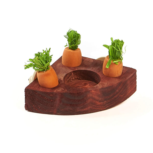Kaytee Toss & Learn Carrot Game Small Animal Toy