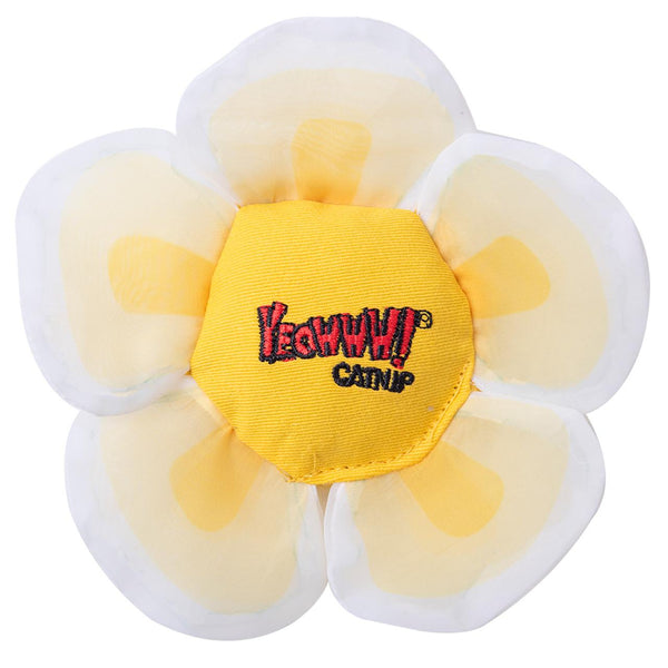 Yeowww! Daisy's Flower Top Catnip Cat Toy, White