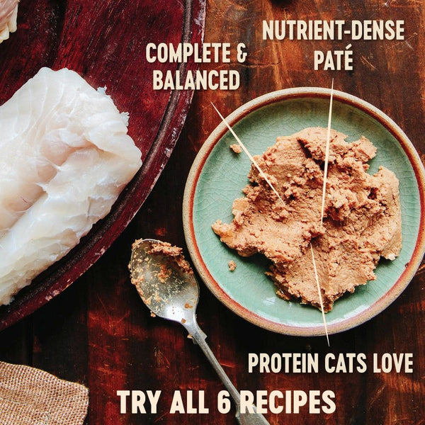 Wellness CORE Pâté sans céréales Poulet d'intérieur et foie de poulet Nourriture humide pour chat en boîte