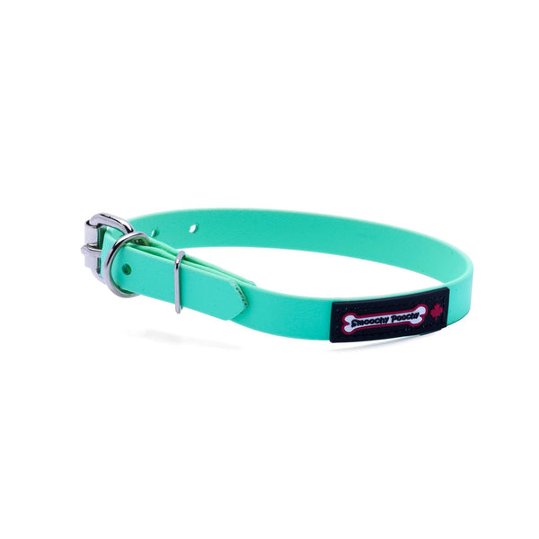Smoochy Poochy Polyvinyl Buckle Style Dog Collar, Aqua