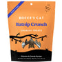 Bocce's Bakery Halloween Batnip Crunch Cat Treats