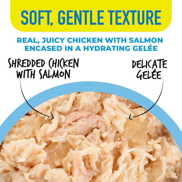 Tiki Cat Gelee Chicken & Salmon in Gelee Wet Cat Food Pouch