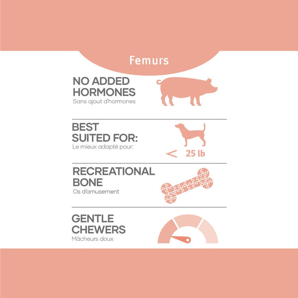 Red Dog Blue Kat Pork Femur Pet Treats