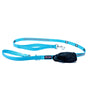 Smoochy Poochy Nylon Hands-Free Reflective Dog Leash, Turquoise