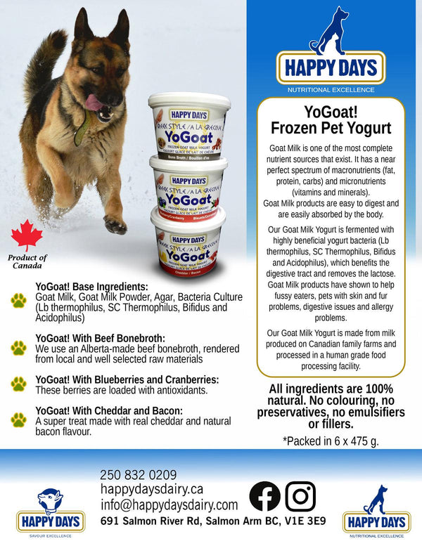 Happy Days YoGoat Cranberry & Blueberry Greek Style Frozen Goat Milk Yogurt Pet Treats