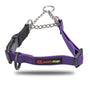 smellydogz Martingale Collar, Purple