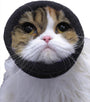 Happy Hoodie The Original Calming Band for Dogs & Cats, Black