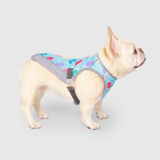 Canada Pooch Chill Seeker Dog Cooling Vest, Popsicles