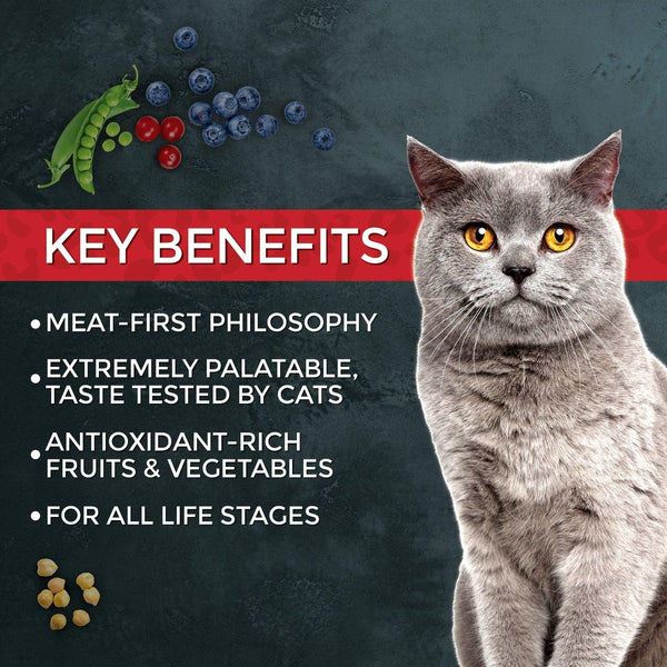 Fussie Cat Market Fresh Chicken & Turkey Recipe Dry Cat Food