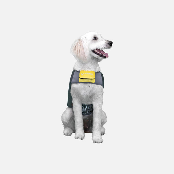 Goo-eez Dog Life Vest, Lime