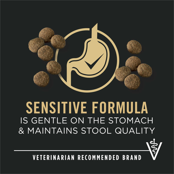 Purina Pro Plan Sensitive Skin & Stomach Salmon & Rice Large Breed Adult Dry Dog Food