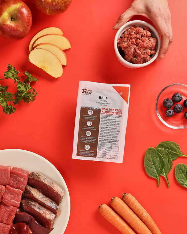 Just Raw Beef Complete Frozen Dog Food