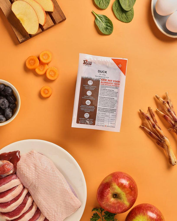 Just Raw Duck Complete Frozen Dog Food