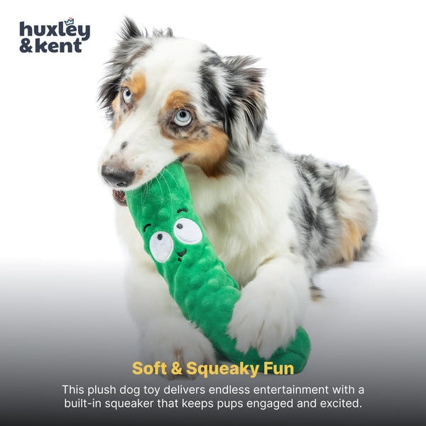 Huxley & Kent Power Plush Fetchies Dell Pickle Dog Toy