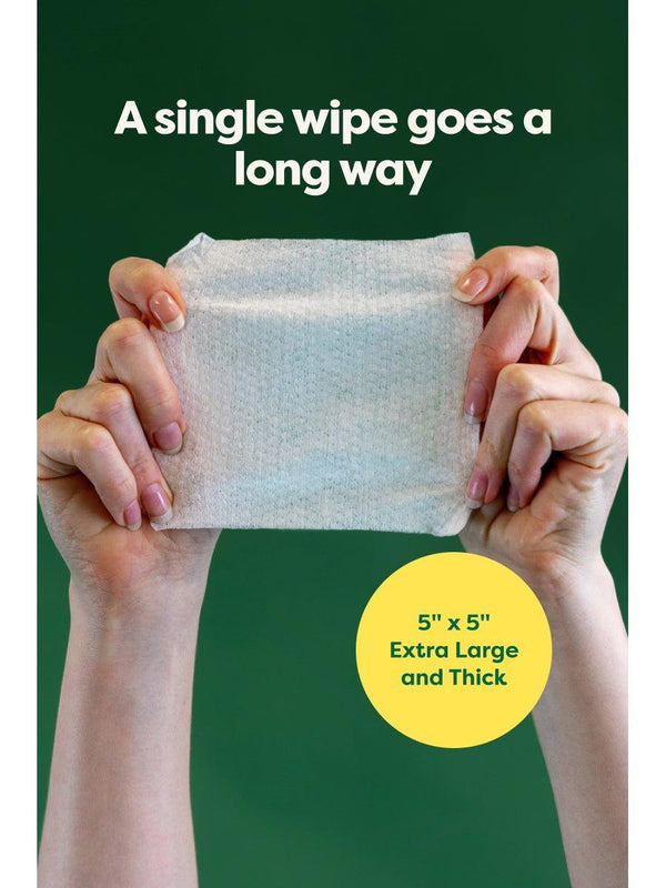 Earth Rated Fragrance Free Dog Eye Wipes