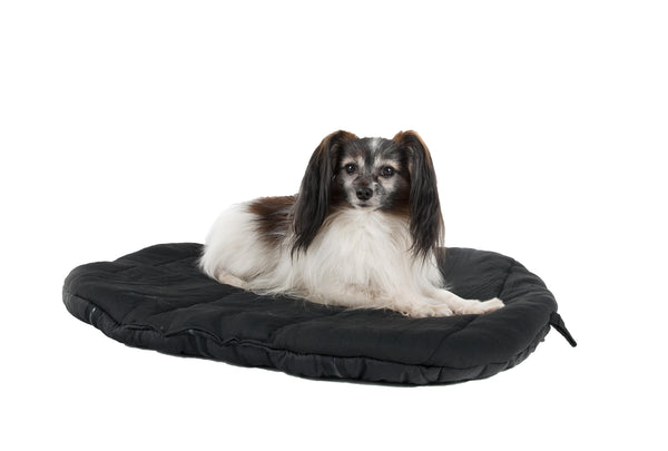 Back on Track Travel Mattress Dog Bed
