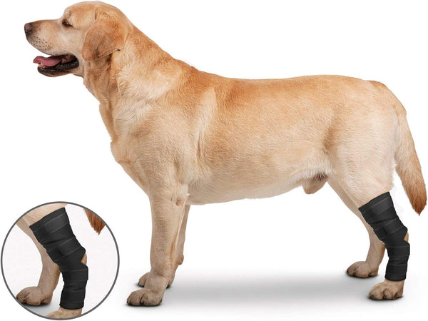 ZenPet Orthowraps Hock for Dogs