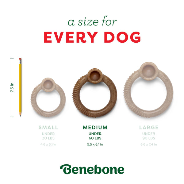 Benebone Limited Edition Peppermint Flavored Ring Chew Dog Toy