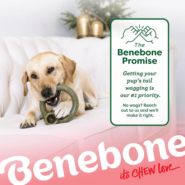 Benebone Limited Edition Peppermint Flavored Ring Chew Dog Toy