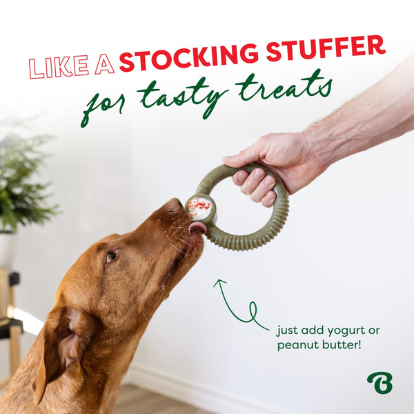 Benebone Limited Edition Peppermint Flavored Ring Chew Dog Toy
