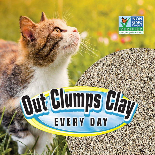 Pioneer Pet SmartCat Lightweight Corn + Wheat Clumping Cat Litter