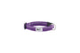 RC Pets Petite Primary Clip Dog Collar, Purple