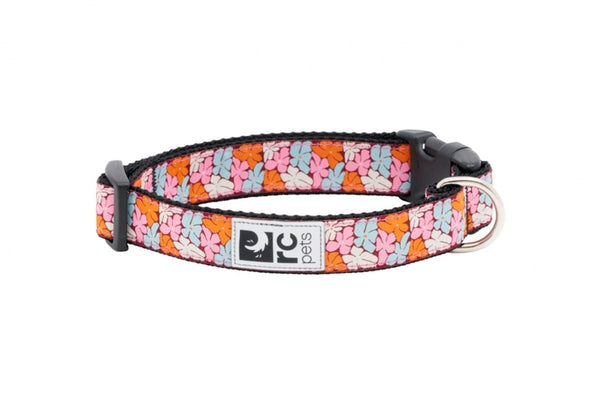 RC Pets Clip Dog Collar, Boho