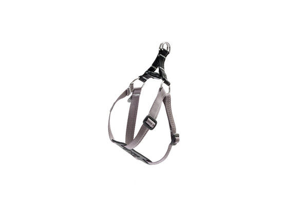 RC Pets Petite Step In Dog Harness, Black