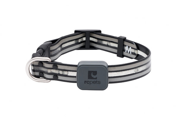 RC Pets Nova LED Light Dog Collar, Black