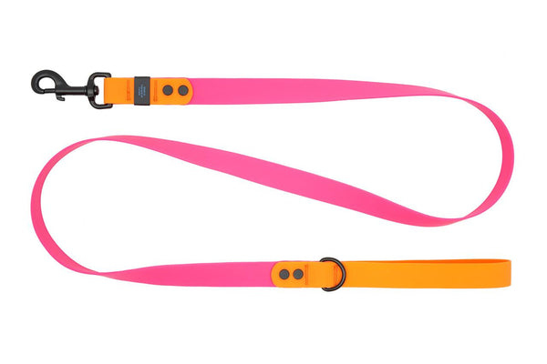 RC Pets Waterproof Dog Leash, Azalea/Orange