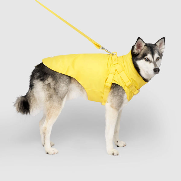 Canada Pooch Dog Harness Raincoat, Yellow