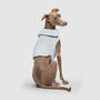 Canada Pooch Weighted Calming Dog Vest, Grey
