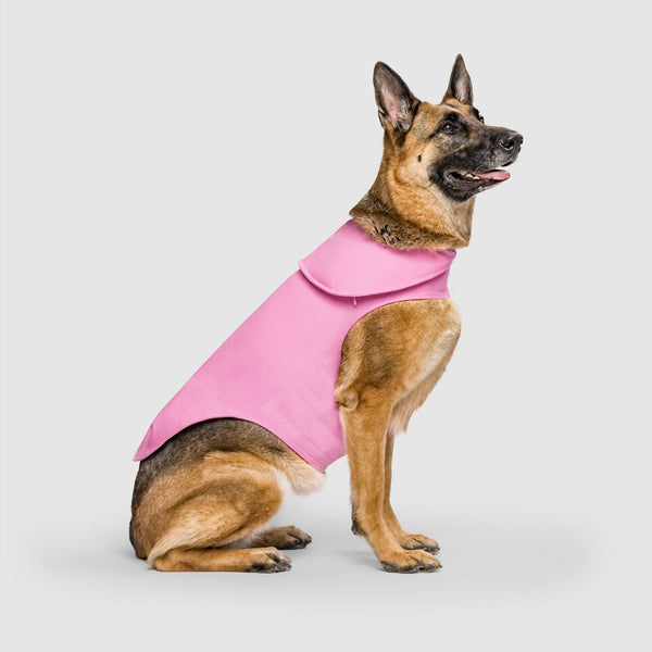 Canada Pooch Weighted Calming Dog Vest, Pink