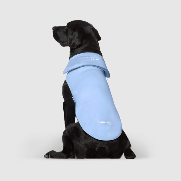 Canada Pooch Weighted Calming Dog Vest, Blue