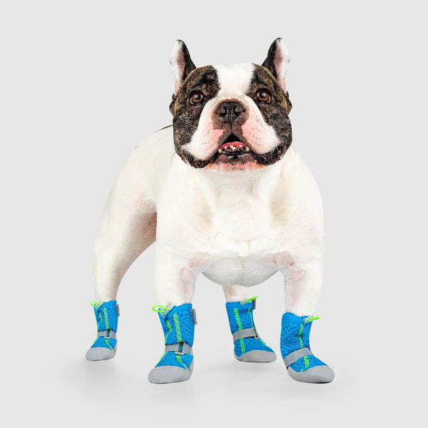 Canada Pooch Hot Pavement Dog Boots, Blue/Green, 4-pk