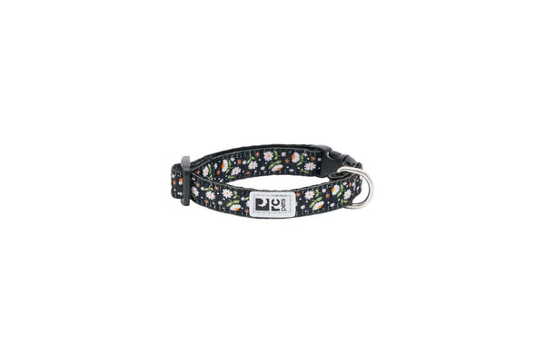 RC Pets Petite Clip Dog Collar, Daisies