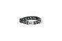 RC Pets Petite Clip Dog Collar, Daisies