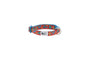 RC Pets Petite Clip Dog Collar, Jurassic Pack