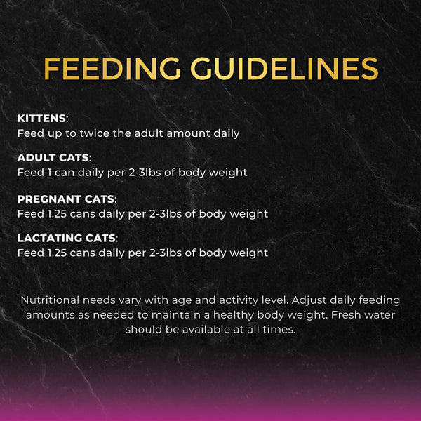 Fussie Cat Black Label Thon Premium au Poulet en Sauce Aliment Humide pour Chats en Boîte