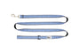 RC Pets Dog Leash, Rebel Blue