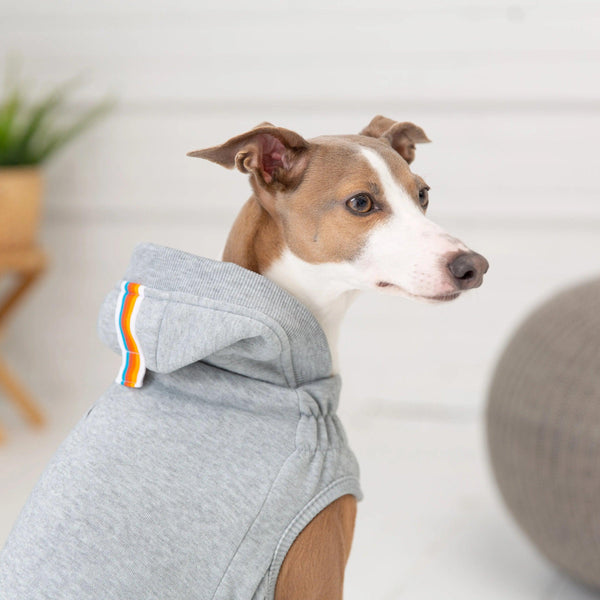 GF Pet Urban Dog Hoodie, Heather Grey