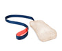 The Company of Animals Coachi Chase & Crinkle Dog Toy