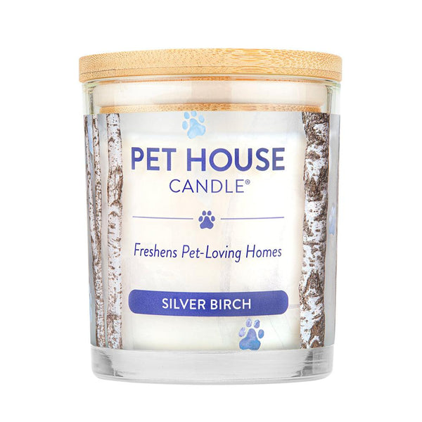 Pet House Candle, Silver Birch