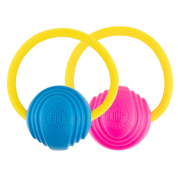 Project Hive Pet Company Zoomer Ball Dog Toy, Pink/Blue, Small