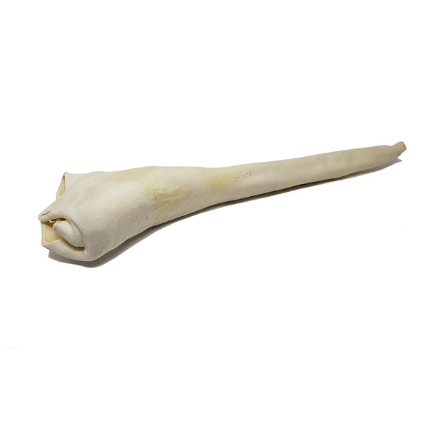 Home Range / Open Range Junior Full Length Bull Tail Dog Treats