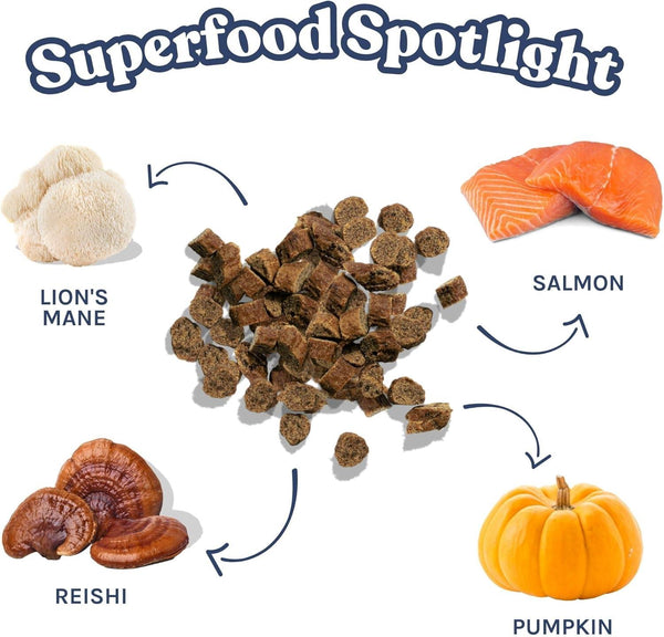 Healthybud Salmon Mini Training Dog Treats