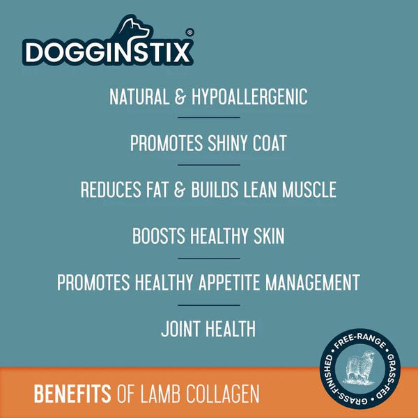 Dogginstix Braided Lamb Collagen Ring Dog Treats
