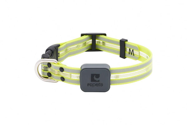 RC Pets Nova LED Light Dog Collar, Tennis