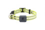 RC Pets Nova LED Light Dog Collar, Tennis